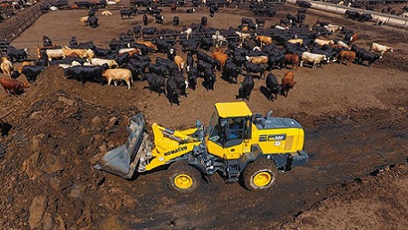 Swisher County Cattle County has loaders to help with the cattle market